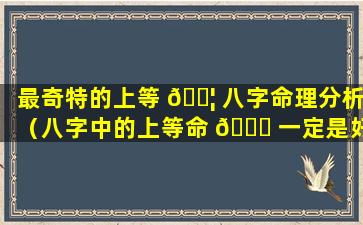 最奇特的上等 🐦 八字命理分析（八字中的上等命 🍁 一定是好命吗）